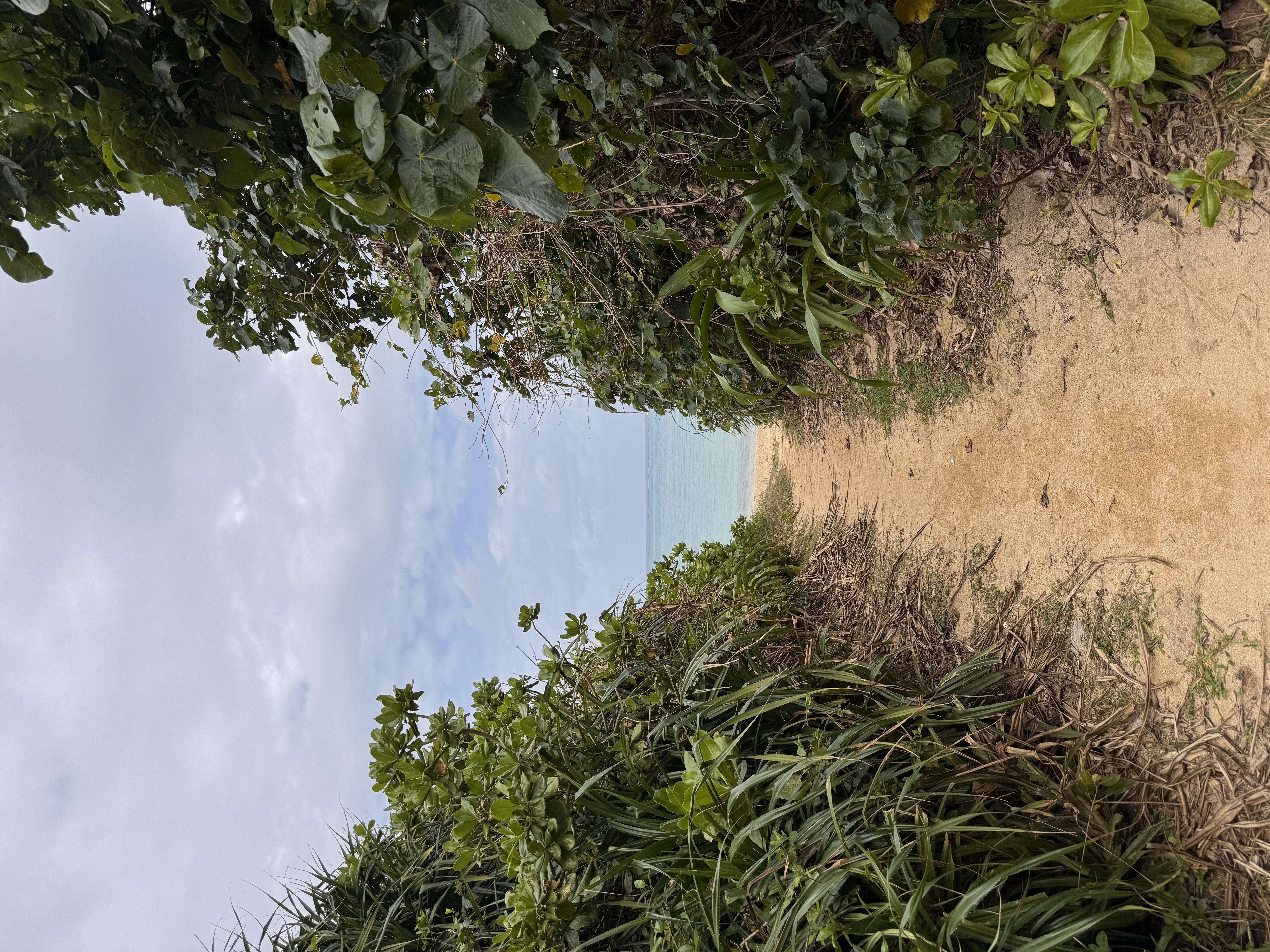 平野ビーチの風景