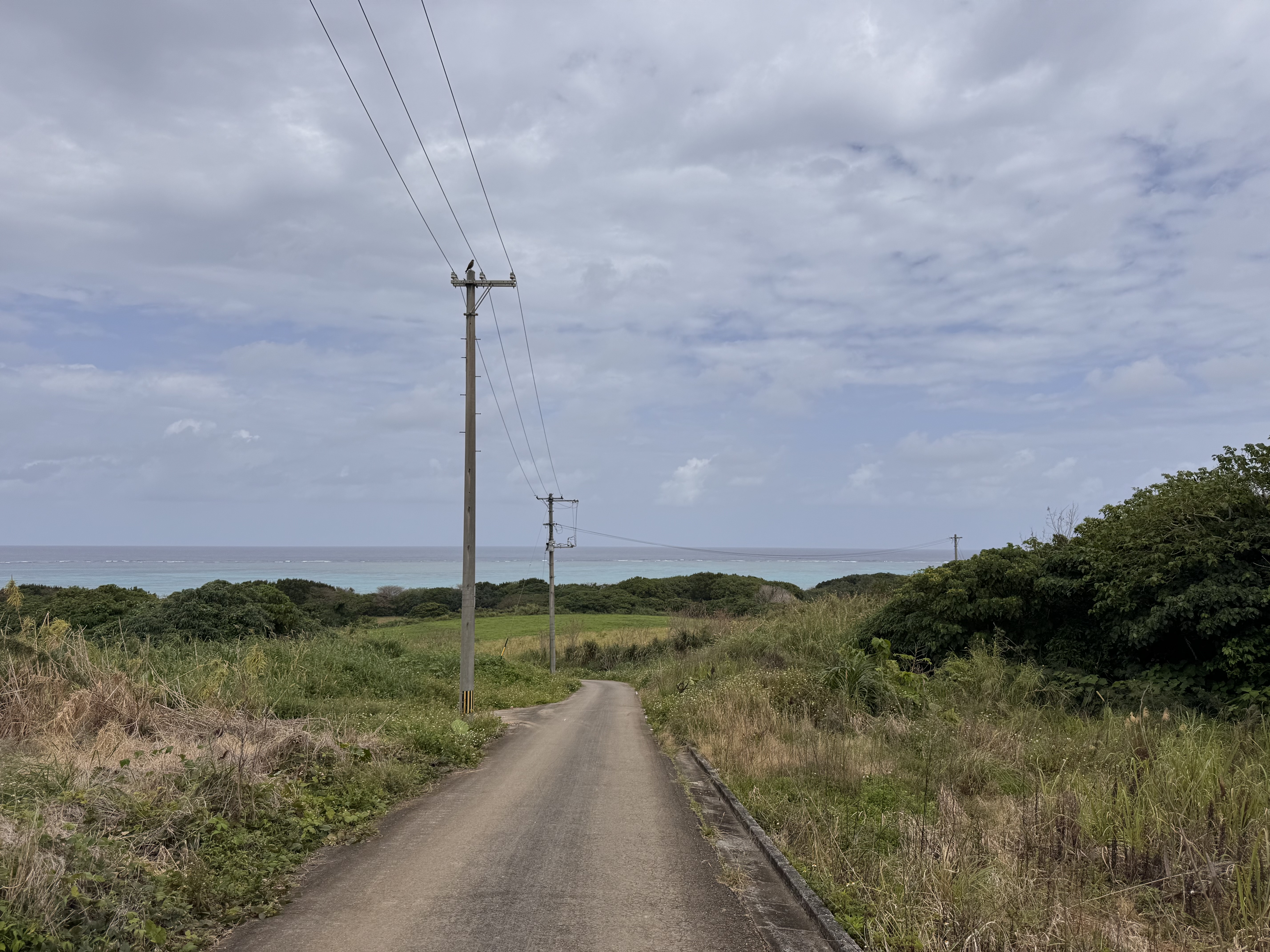 石垣島平野への道